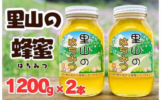 ありだ里山の蜂蜜（1200ｇ×2本セット）