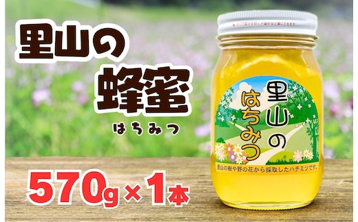 ありだ里山の蜂蜜 570g 化粧箱入り