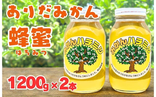 ありだみかん蜂蜜 1200g×2本セット