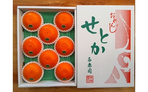 化粧箱 柑橘の大トロ ハウス せとか 厳選 8玉入