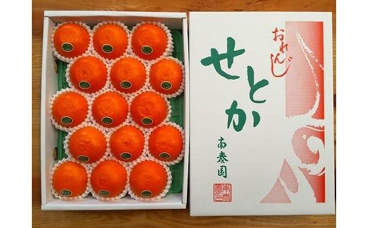 化粧箱 柑橘の大トロ ハウス せとか 厳選 15玉入