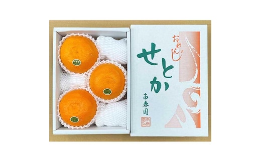 ハーフ 化粧箱 柑橘の大トロ ハウス せとか 厳選 大玉 3玉入 南泰園