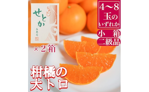 ［2箱セット］ちょっと 傷あり ハーフ 化粧箱 柑橘の大トロ ハウス せとか 4 ～ 8玉入 × 2箱 南泰園