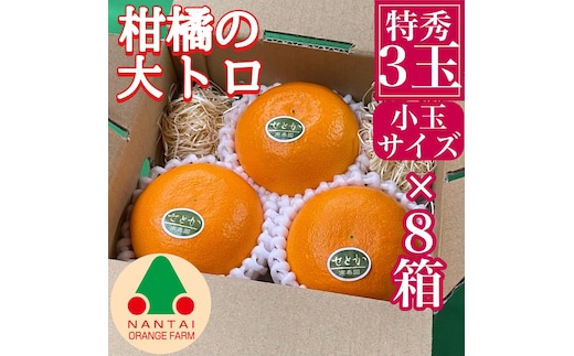 お試し規格 柑橘の大トロ ハウス せとか 厳選 小玉 3玉入 手さげ箱 × 8箱 南泰園 和歌山 有田