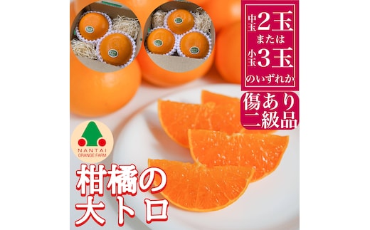 お試し規格 柑橘の大トロ ハウス せとか ちょっと 傷あり 2玉 または 3玉入 手さげ箱 南泰園 和歌山 有田