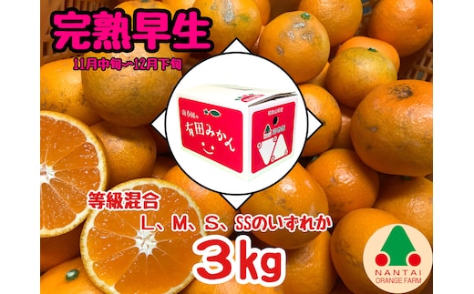 等級混合 完熟早生 有田 みかん L ～ SS サイズ 3kg 南泰園 和歌山 有田みかん