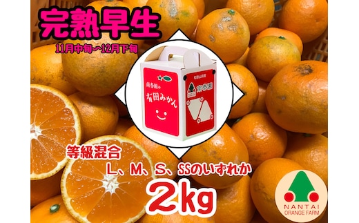 等級混合 完熟早生 有田 みかん L ～ SS サイズ 2kg 南泰園 和歌山 有田みかん