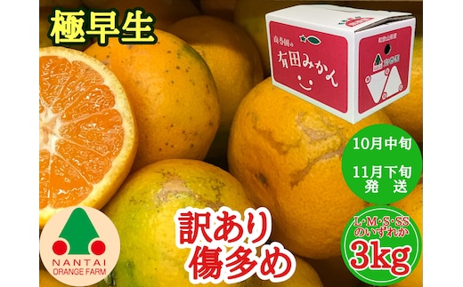 訳あり 傷多め 極早生 有田 みかん 3kg L～SS サイズおまかせ 南泰園 和歌山 有田みかん
