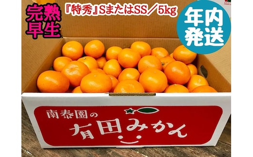 年内発送 完熟早生 有田みかん 特秀 S または SS サイズ 5kg 和歌山 南泰園 みかん