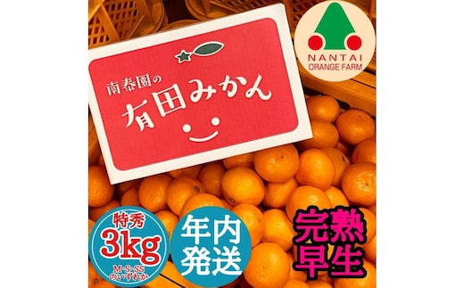 年内発送 完熟早生 有田みかん 特秀 M ～ SS サイズ 3kg 和歌山 南泰園 みかん