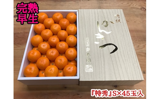 年内発送 完熟早生 有田みかん 化粧箱 特秀 S サイズ 45玉入 和歌山 南泰園 みかん