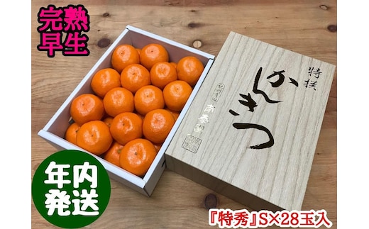 年内発送 完熟早生 有田みかん 化粧小箱 特秀 S サイズ 24玉または28玉入 和歌山 南泰園 みかん