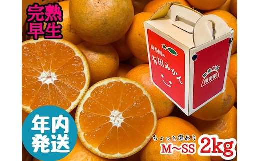 年内発送 ちょっと傷あり 完熟早生 有田みかん M ~ SS サイズ 2kg 手さげ箱 みかん