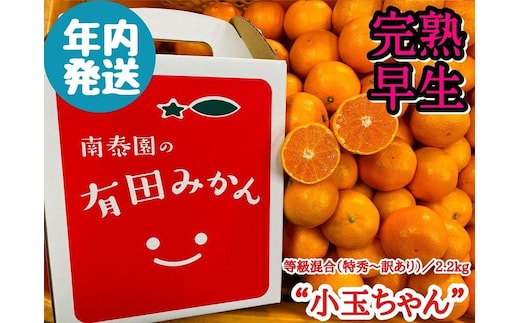 年内発送 完熟早生 有田みかん 小玉ちゃん 等級混合 2.2 kg 和歌山 南泰園 みかん