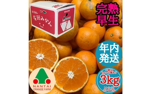 年内発送 ちょっと 傷あり 完熟早生 有田みかん M ～ SS サイズ 3kg 和歌山 南泰園 みかん