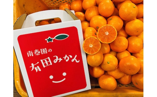 有田みかん 小玉ちゃん 等級混合 2.2kg 小玉2S～4Sサイズ混合 和歌山 南泰園 みかん