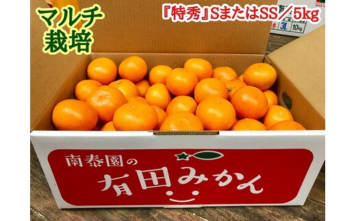 マルチ栽培 有田 みかん 特秀 S または SS サイズ 5kg 南泰園