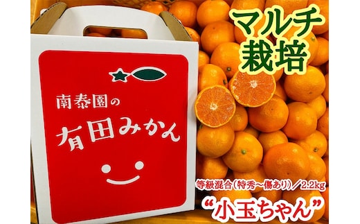 マルチ栽培 有田 みかん 小玉ちゃん 等級混合 2.2kg 南泰園