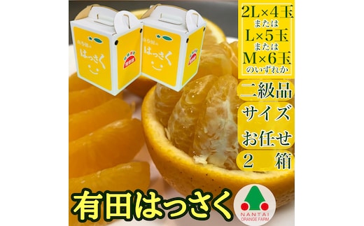 2箱セット ちょっと 傷あり 手さげ箱 有田 はっさく 2L ~ M 4~6玉入 南泰園 みかん