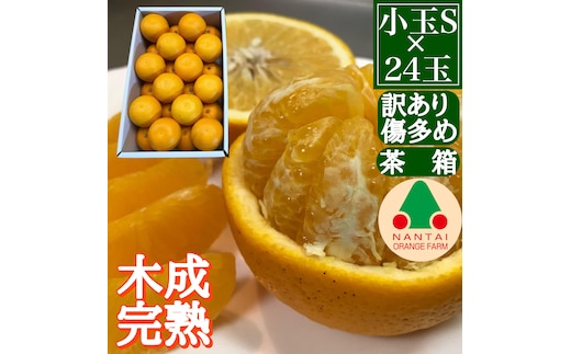 訳あり 傷多め 4月 まで 木成 完熟 させた 有田 はっさく S × 24玉 茶箱 南泰園 みかん