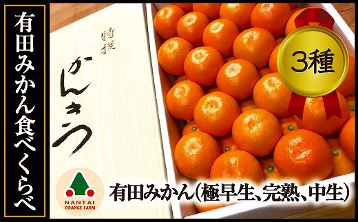定期便 先行受付 2026年 10月発送スタート 有田みかん 食べくらべ 3種 化粧箱 各約 3kg 全3回 南泰園
