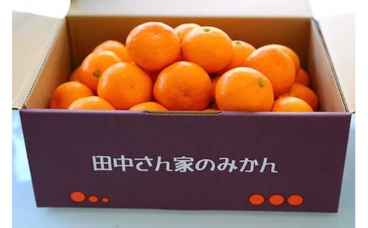 こだわり手詰め 有田みかんSサイズ（4.7kg）