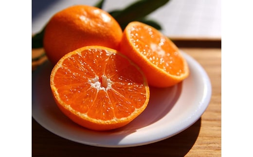 こだわり手詰め 有田みかん（お徳用 10kg）