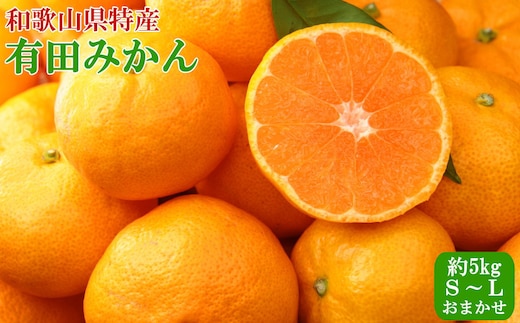 [秀品]和歌山有田みかん5kg (S～Lサイズおまかせ) ★2026年11月中旬頃より順次発送