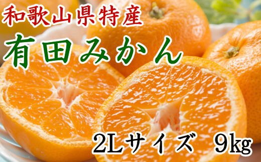 [秀品]和歌山有田みかん約9kg(2Lサイズ) ★2025年11月中旬頃より順次発送【TM85w】