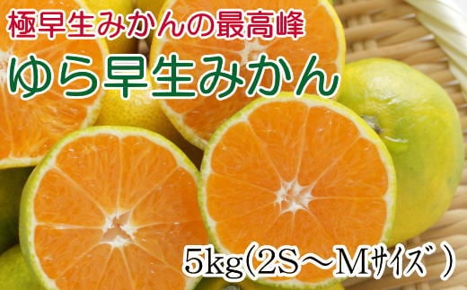 ［極早生みかんの逸品］有田産ゆら早生みかん約5kg★2026年10月中旬頃より順次発送