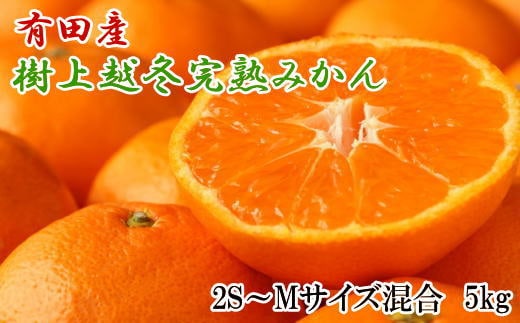 【濃厚・まろやか】有田産樹上越冬完熟みかん5kg（2S～Mサイズ混合・秀品）★2026年1月下旬頃より順次発送
