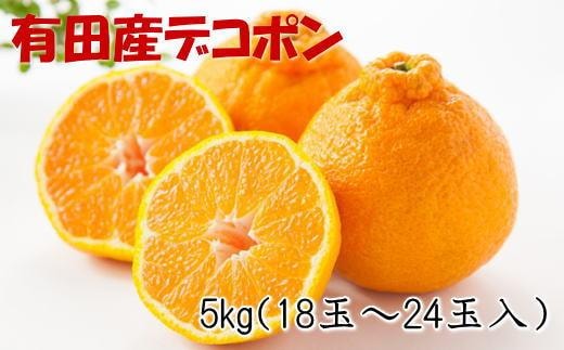 ［お味濃厚］紀州有田産のデコポン約5kg(18玉～24玉入り・青秀以上)★2026年2月中旬頃より順次発送［TM26w］