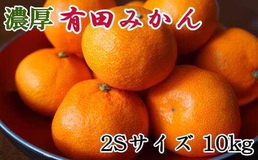 【濃厚・秀品】和歌山有田みかん約10kg(2Sサイズ) ★2025年11月中旬頃より順次発送