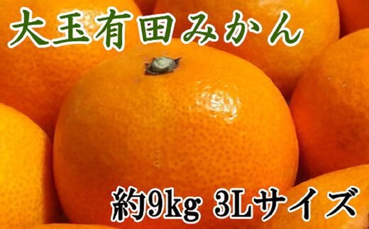 【食べごたえ十分】和歌山有田みかん大玉約9kg(3Lサイズ・秀品）★2025年11月中旬頃より順次発送