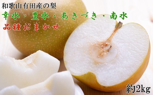 【産直】和歌山有田産の梨約2kg（品種おまかせ）★2026年8月上旬頃より順次発送