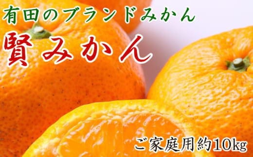 有田のブランド「賢みかん」約10kg サイズ混合 ご家庭用［2026年11月中旬頃より順次発送］