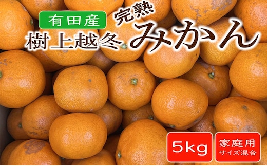 【濃厚・まろやか】有田産樹上越冬完熟みかん約5kg（ご家庭用）★2026年1月下旬頃より順次発送
