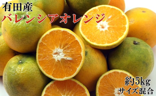［国産］有田産バレンシアオレンジ 約5kg（サイズ混合 秀・優品規格）★2026年7月中旬ごろより発送