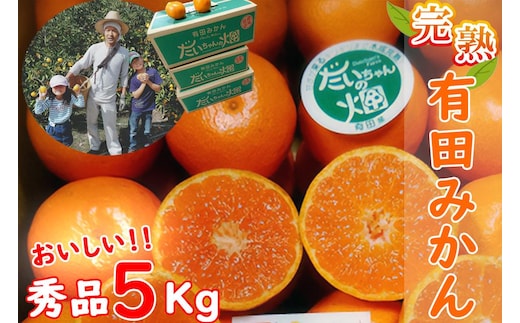 有田みかん 秀品 5kg 木成り完熟【贈答用】大ちゃんの畑農園