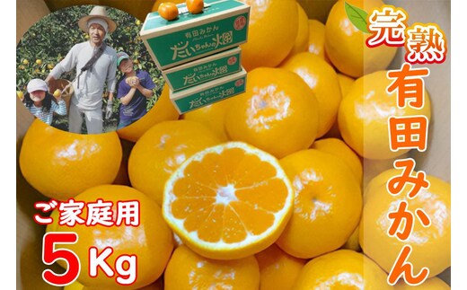 【ご家庭用】有田みかん 5kg （Ｓ～2Ｌサイズミックス）木成り完熟 大ちゃんの畑農園