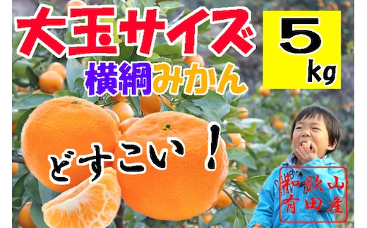 大玉有田みかん 5kg 2L・3Lサイズ