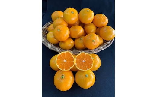 【数量限定】【赤秀特選品】有田みかん2Sサイズ約5kg