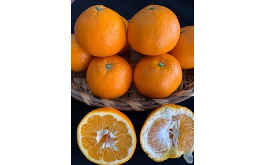 いよかん 赤秀品 5kg（L、2L/サイズ指定不可）