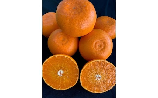 完熟せとか（9～15玉/サイズ指定不可）