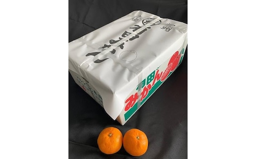 有田みかん秀優品 5kg 混合（2S～L）サイズ