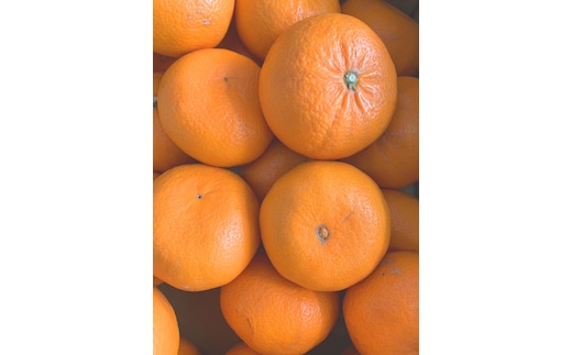 麗紅柑（れいこう）赤秀品 S～2Lサイズ 3kg