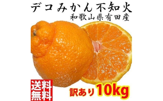 不知火(しらぬい) オレンジ みかん 家庭用 10kg
