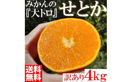 せとか みかんの大トロ 4kg 訳あり ブランド 和歌山 有田みかん 農家直送 オレンジ フルーツ 果物