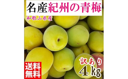 青梅 4kg 紀州南高梅 シロップ・梅酒・梅干し用等 和歌山県有田産 訳あり 2026年5月下旬～7月上旬発送予定