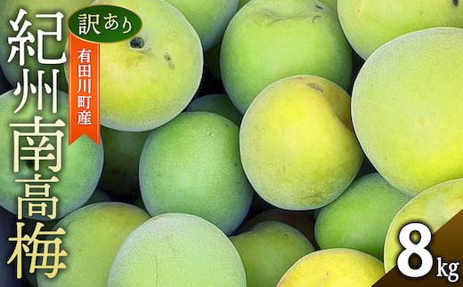青梅 8kg 訳あり 紀州南高梅 シロップ・梅酒・梅干し用等 和歌山県有田産 2026年5月下旬～7月上旬発送予定